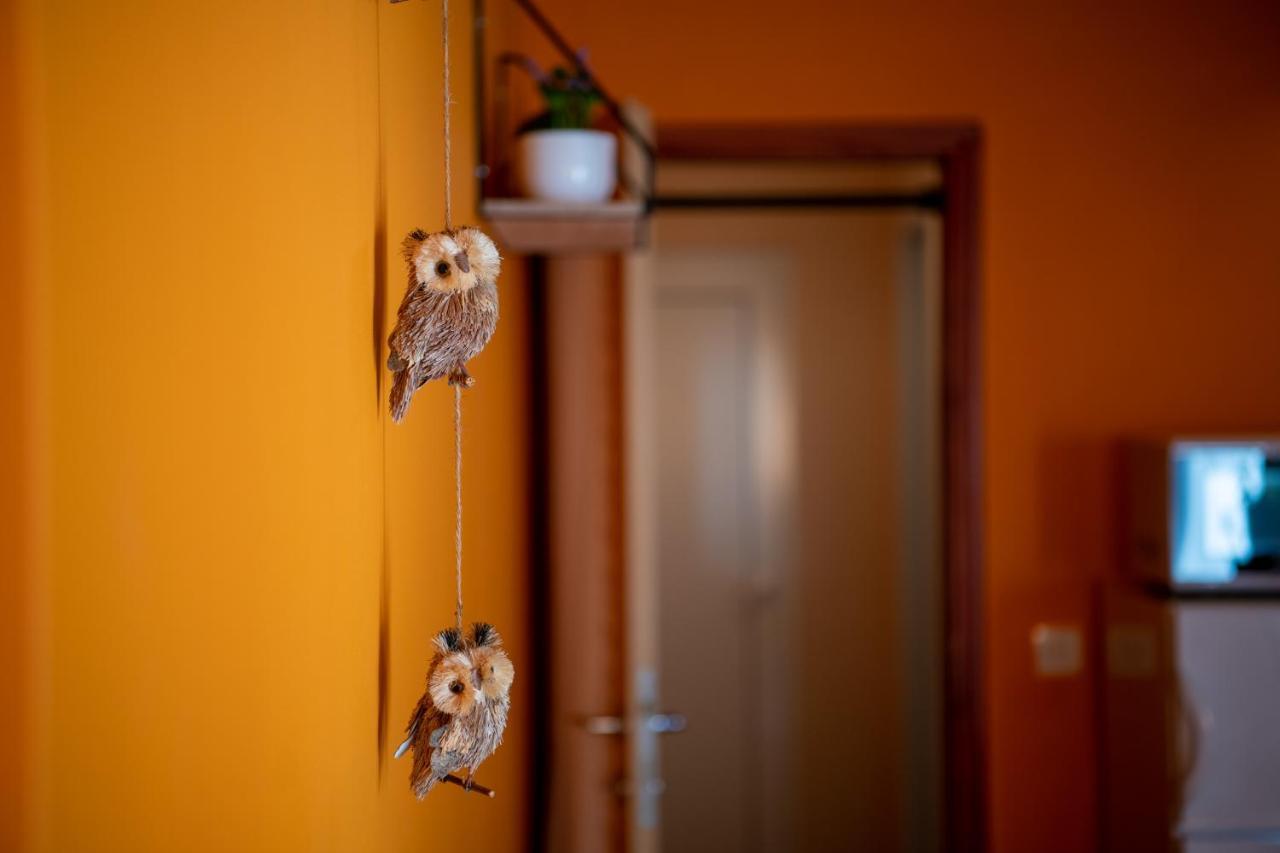 Apartment Orange 29 Rovinj Eksteriør billede